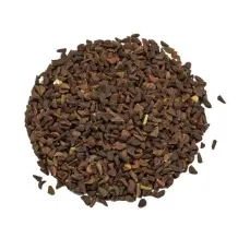 Acacia Confusa 種子 25粒+ Amazon | アカシア・コンフューサ（相思樹・ソウシジュ）(Acacia